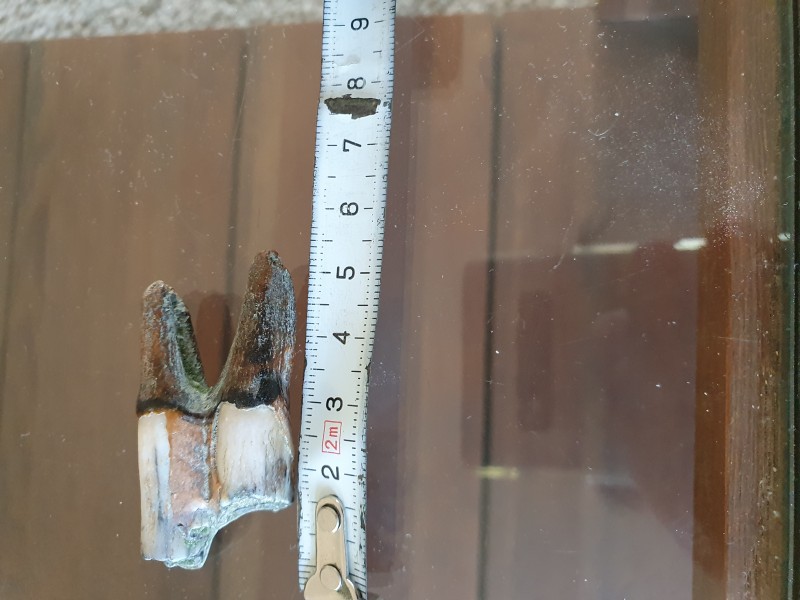 16581626871815925685406445093426.jpg (3.02 MiB) 2315 keer bekeken 16581626871815925685406445093426.jpg