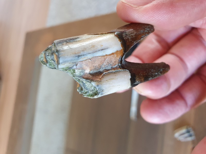 16581627310268004159374720106395.jpg (2.91 MiB) 2315 keer bekeken 16581627310268004159374720106395.jpg