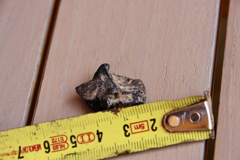 IMG_4682.JPG (3.17 MiB) 2480 keer bekeken IMG_4682.JPG