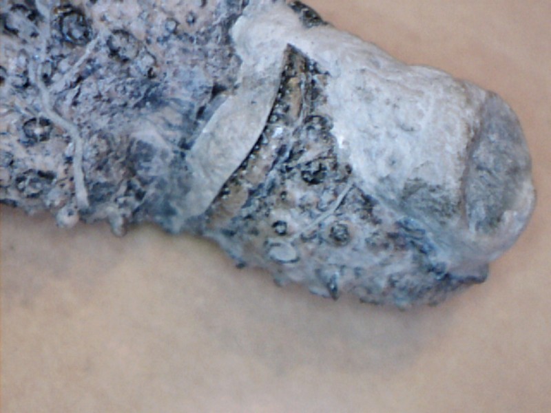 Image44.jpg