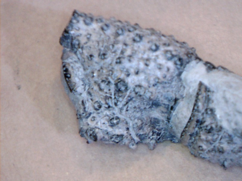 Image45.jpg