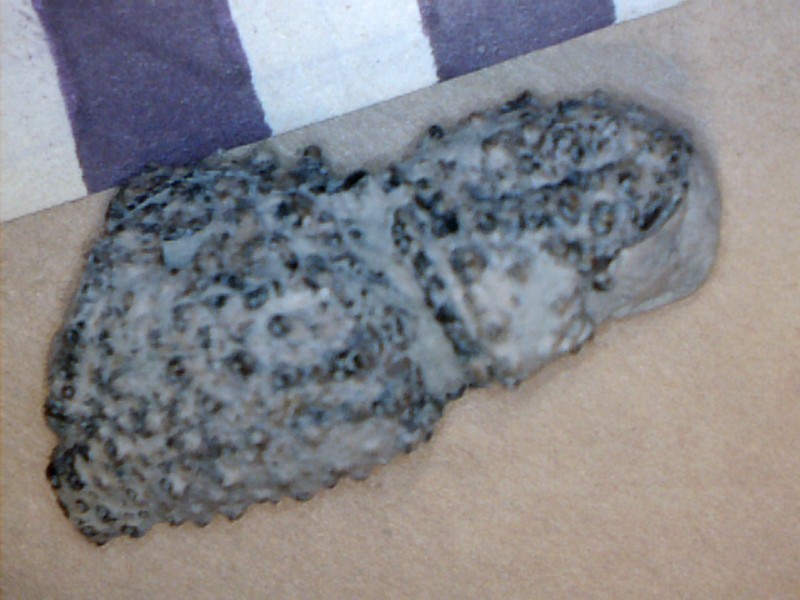 Image47.jpg