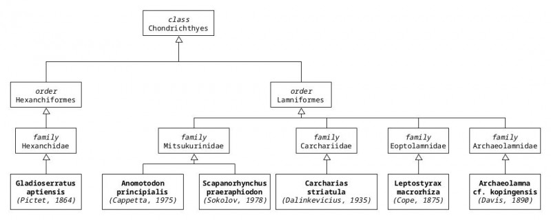 systematic_biology_species.jpg