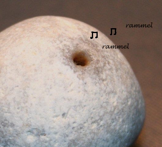 Plinthosella Sangatte rammelspons.JPG