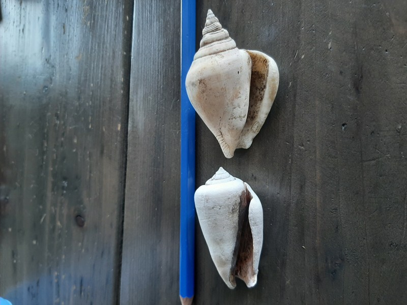 20220908_145107.jpg