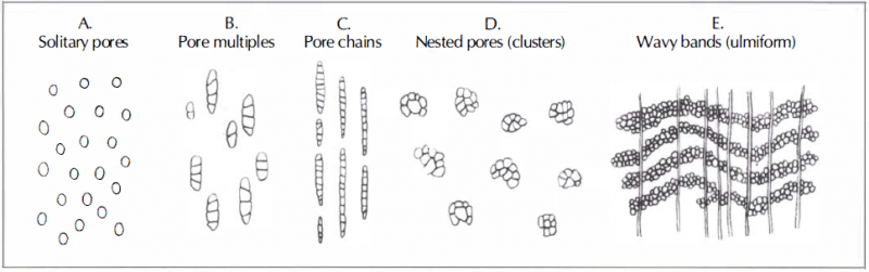 Porosity_02.png