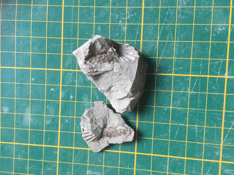 6F47434F-9DB6-4E79-A1E5-F8B4553BA7C2.jpeg (3.42 MiB) 512 keer bekeken 6F47434F-9DB6-4E79-A1E5-F8B4553BA7C2.jpeg