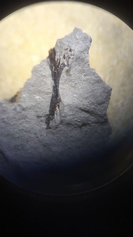 E28610EE-C406-4B80-8C18-FDA84F3B86B9.jpeg (148.22 KiB) 989 keer bekeken E28610EE-C406-4B80-8C18-FDA84F3B86B9.jpeg