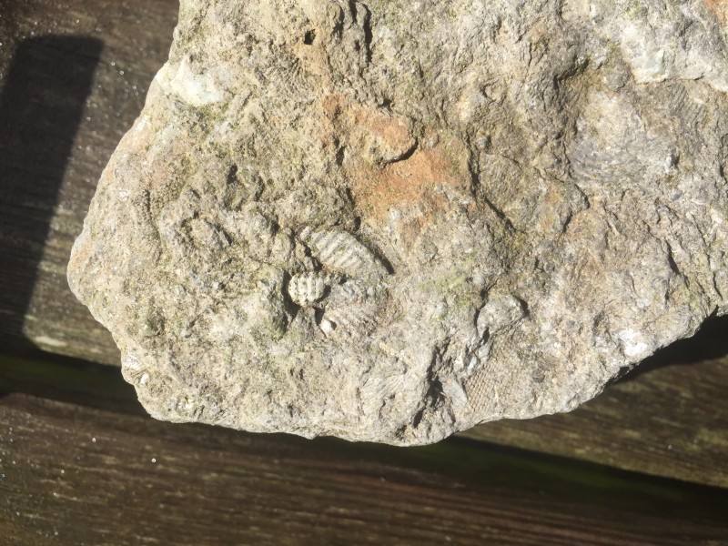 22BDE0B1-A611-4E01-A9B1-735A5BCB2B3B.jpeg (3.32 MiB) 5951 keer bekeken 22BDE0B1-A611-4E01-A9B1-735A5BCB2B3B.jpeg