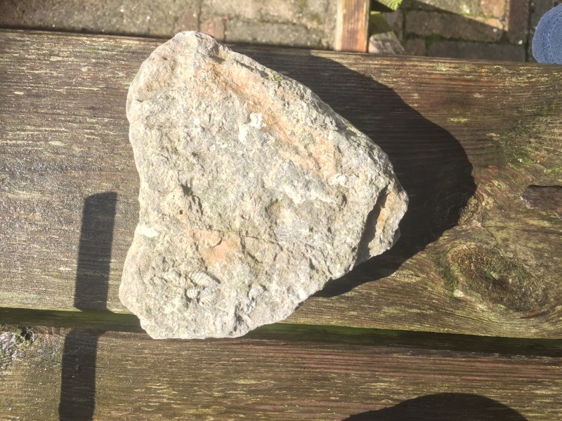 7E37F5E8-0D08-4802-8B54-B71F0FD3FECB.jpeg (3.48 MiB) 6989 keer bekeken 7E37F5E8-0D08-4802-8B54-B71F0FD3FECB.jpeg