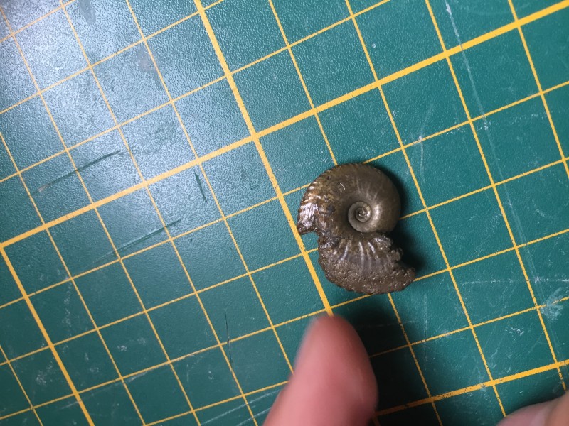 05914B4C-E4E0-442C-81A0-1148D32C74A8.jpeg (2.99 MiB) 913 keer bekeken 05914B4C-E4E0-442C-81A0-1148D32C74A8.jpeg