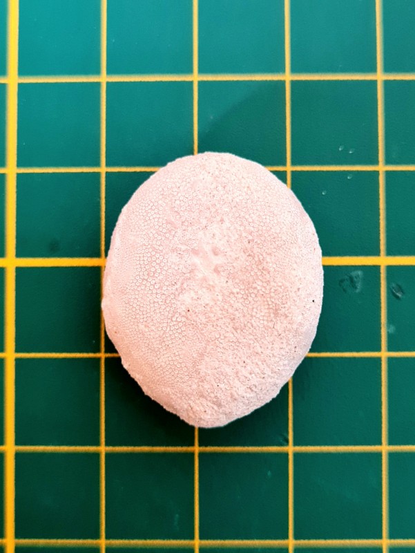 20221026_111627.jpg (837.61 KiB) 1063 keer bekeken 20221026_111627.jpg