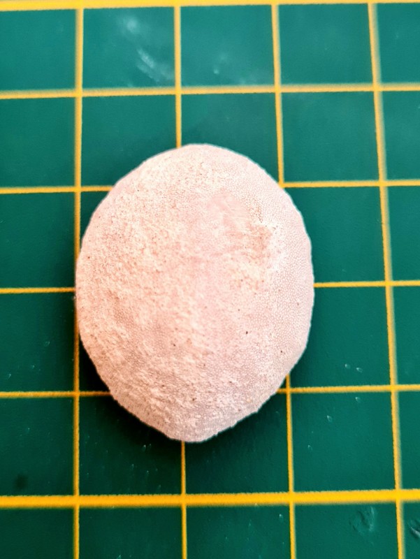 20221026_111644.jpg (991.06 KiB) 1073 keer bekeken 20221026_111644.jpg