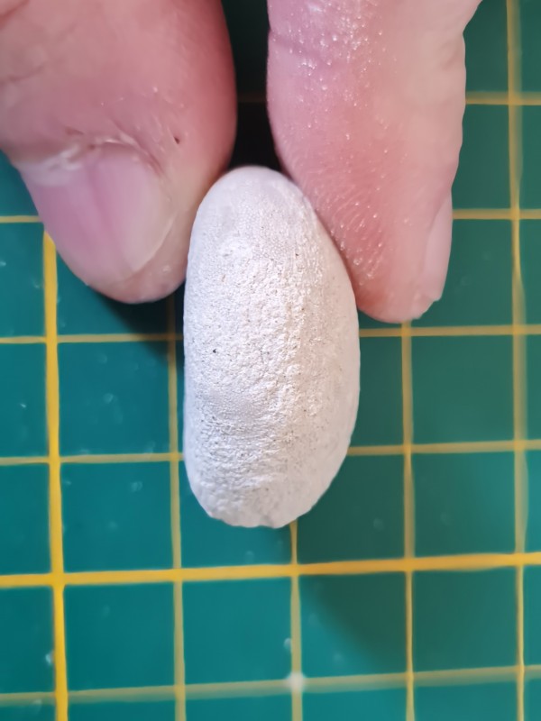 20221026_112036.jpg (1.01 MiB) 1071 keer bekeken 20221026_112036.jpg