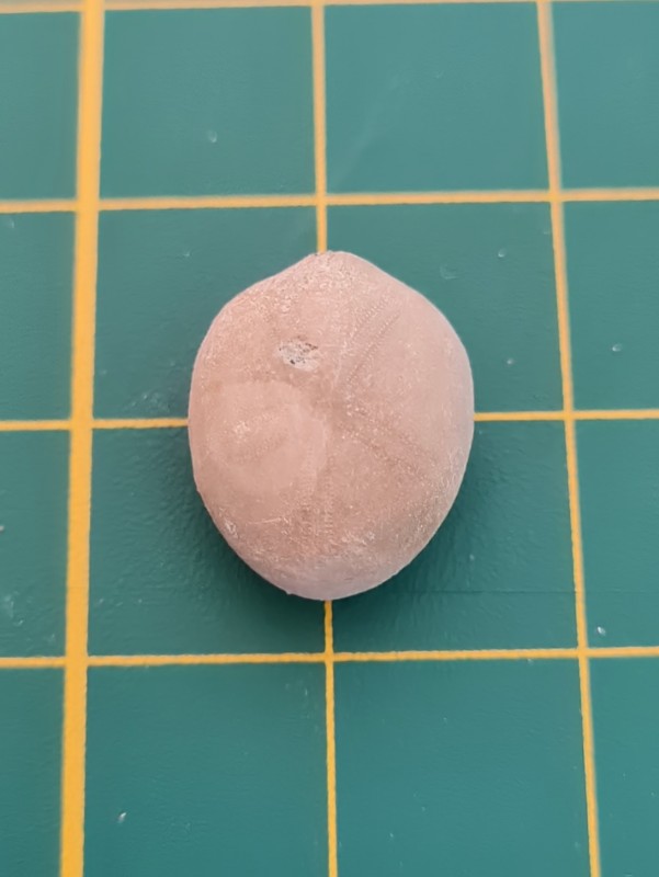 20221026_112411.jpg (199.01 KiB) 1066 keer bekeken 20221026_112411.jpg