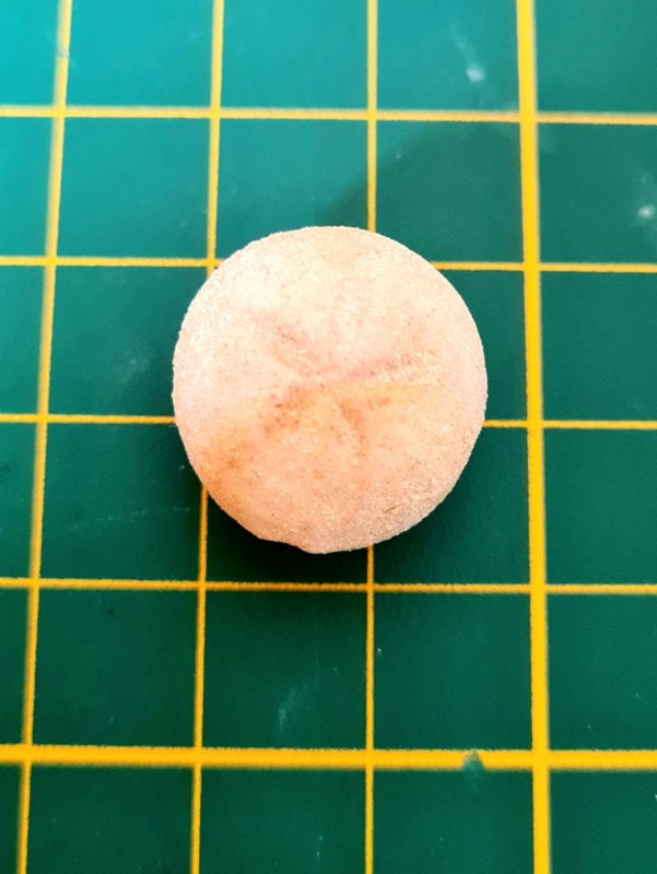 20221026_111832.jpg (679.36 KiB) 1066 keer bekeken 20221026_111832.jpg