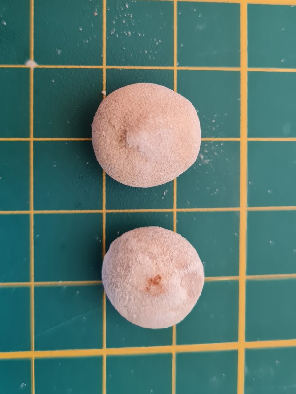 20221026_112659.jpg (1.23 MiB) 1060 keer bekeken 20221026_112659.jpg