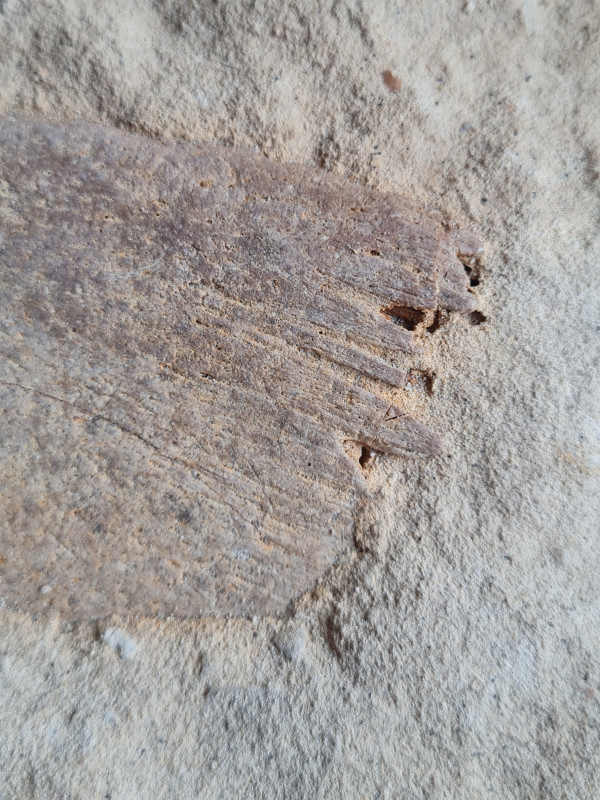 20230212_120429.jpg (1.67 MiB) 855 keer bekeken 20230212_120429.jpg