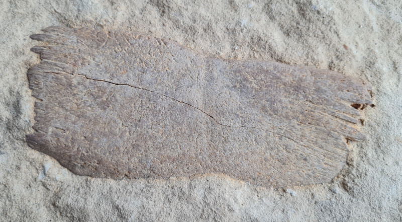 20230212_120424.jpg (2.21 MiB) 855 keer bekeken 20230212_120424.jpg