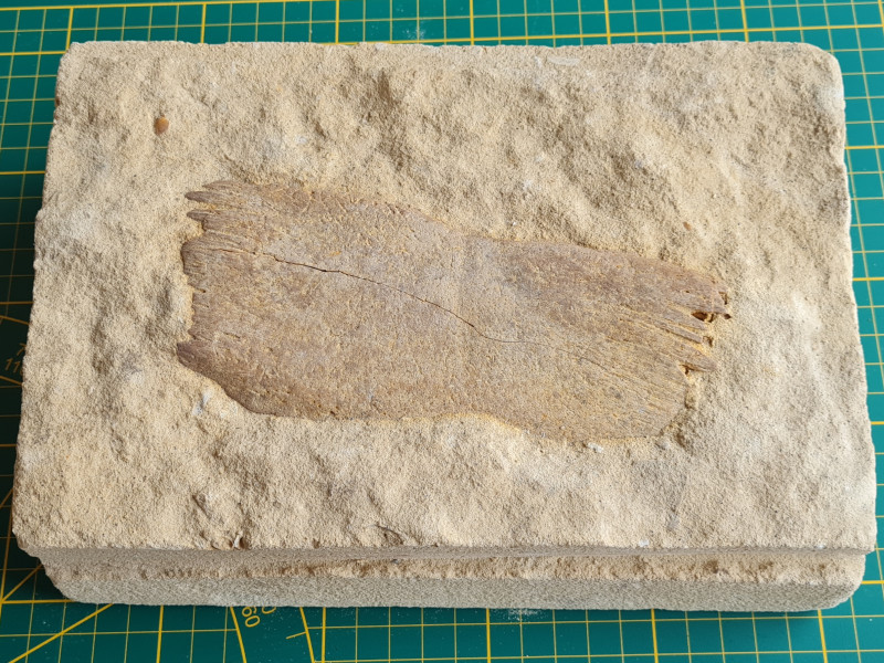 20230212_120418.jpg (1.8 MiB) 852 keer bekeken 20230212_120418.jpg