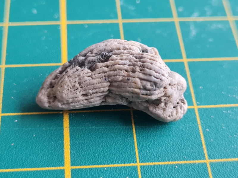 20230212_120452.jpg (404.99 KiB) 848 keer bekeken 20230212_120452.jpg