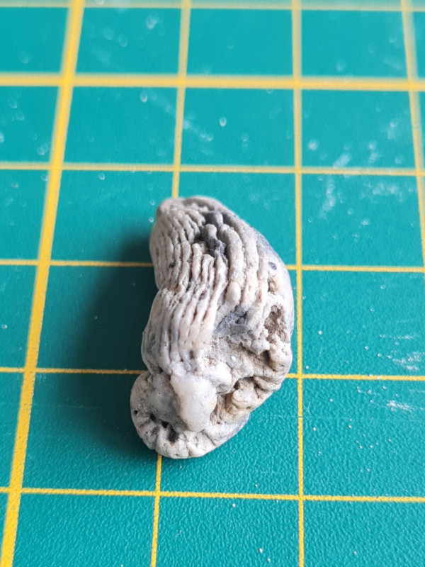 20230212_120507.jpg (429.58 KiB) 846 keer bekeken 20230212_120507.jpg