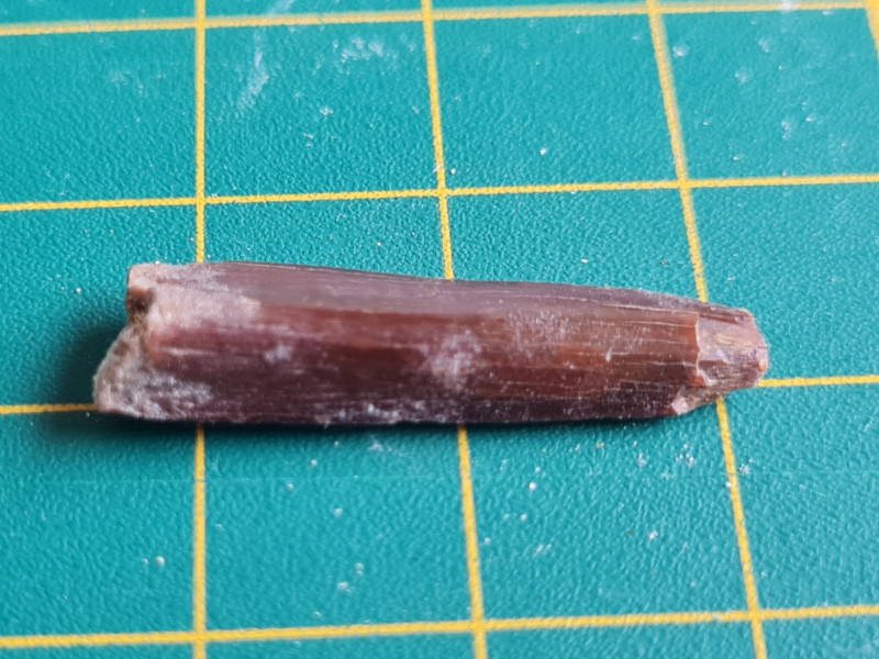 20230212_120546.jpg (467.26 KiB) 845 keer bekeken 20230212_120546.jpg