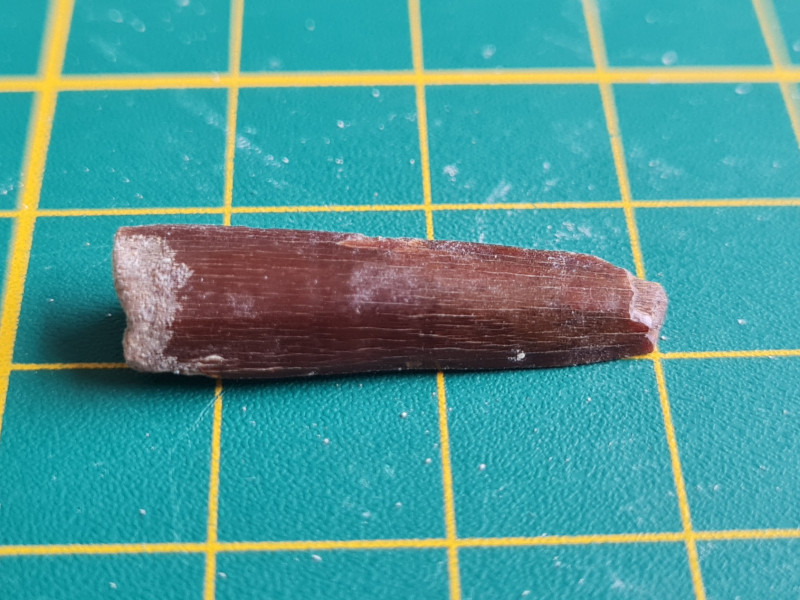 20230212_120529.jpg (631.04 KiB) 850 keer bekeken 20230212_120529.jpg