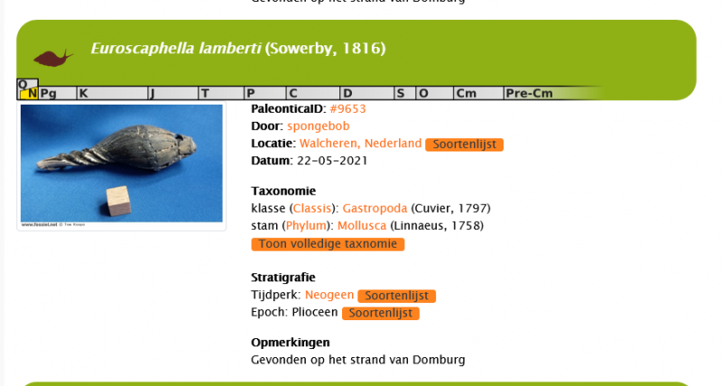 Screenshot 2023-02-27 at 21-39-31 Paleontica - Fossielendatabase.png