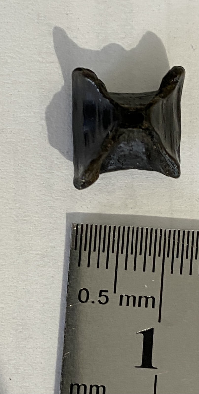 6167D7B9-AC8A-438A-BB17-C79486BBA2E3.jpeg (364.84 KiB) 281 keer bekeken 6167D7B9-AC8A-438A-BB17-C79486BBA2E3.jpeg