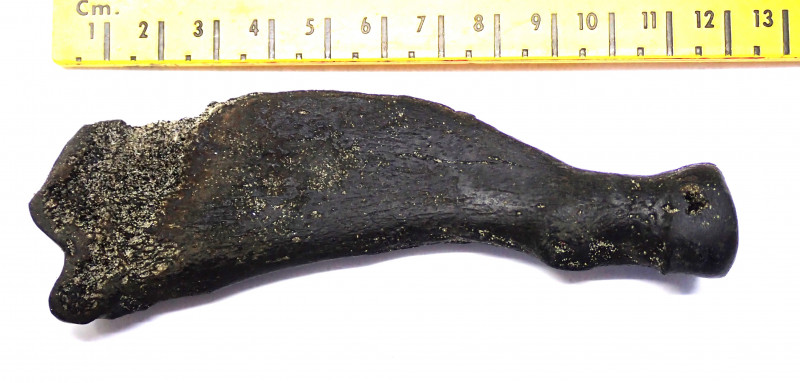 P6270001.JPG (939.12 KiB) 820 keer bekeken P6270001.JPG