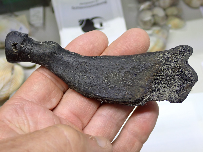 P6270013.JPG (2.4 MiB) 820 keer bekeken P6270013.JPG