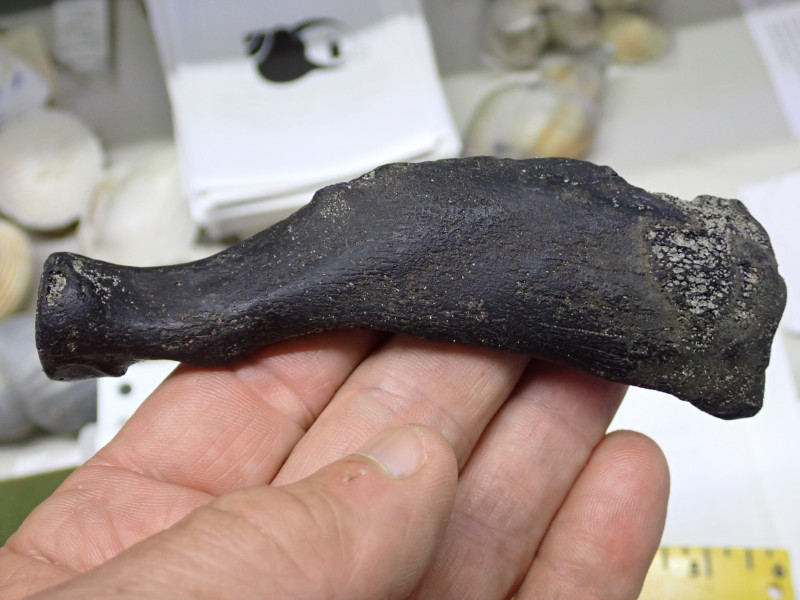 P6270014.JPG (2.32 MiB) 820 keer bekeken P6270014.JPG