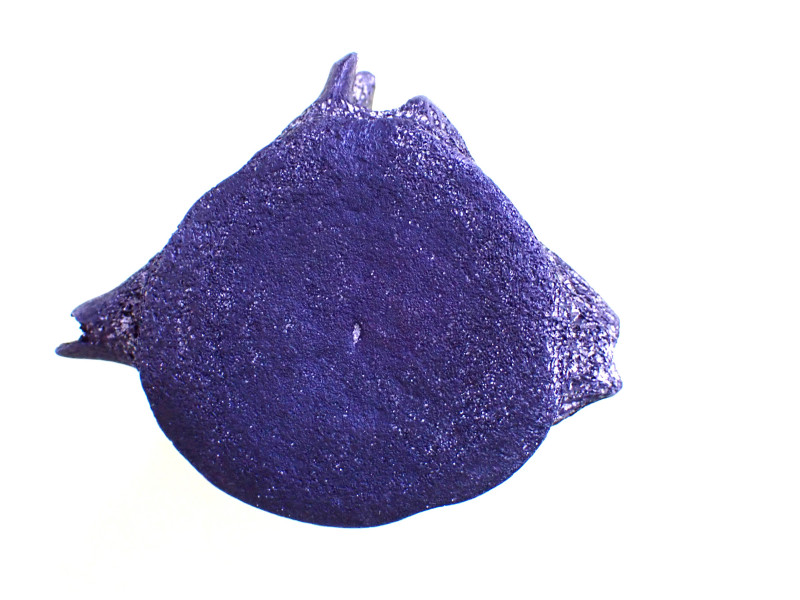 P7080011.JPG