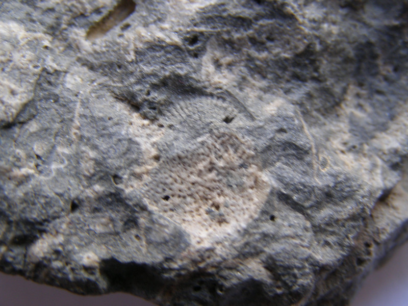 P7100013.JPG