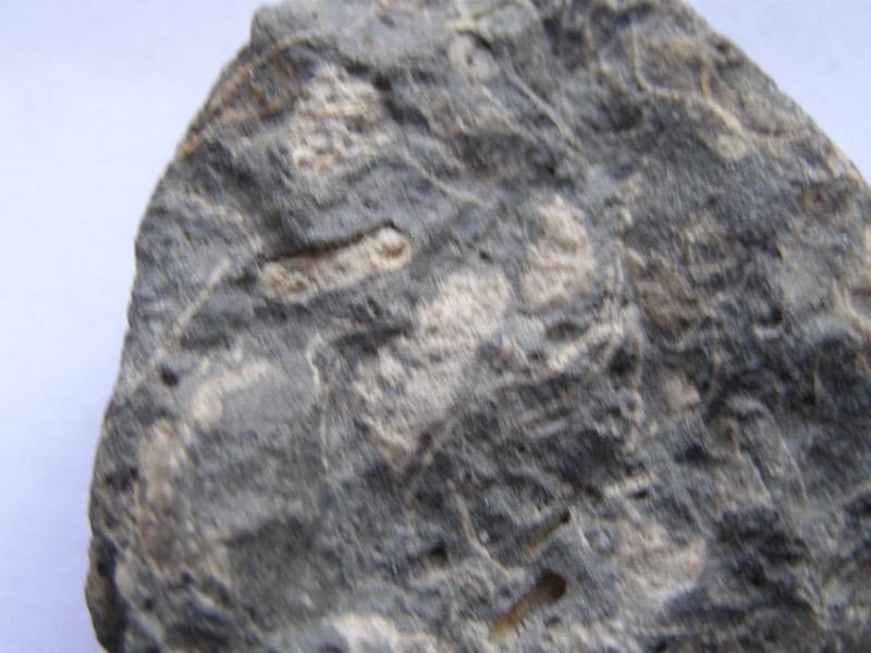 P7100014.JPG