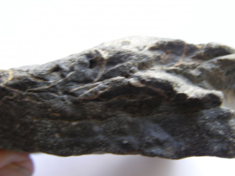 P7100015.JPG