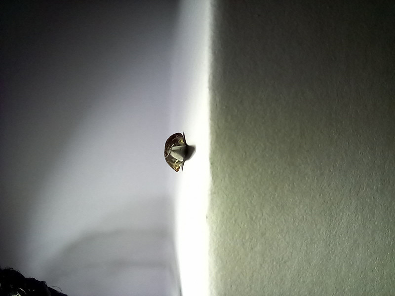 20230719_212151.jpg