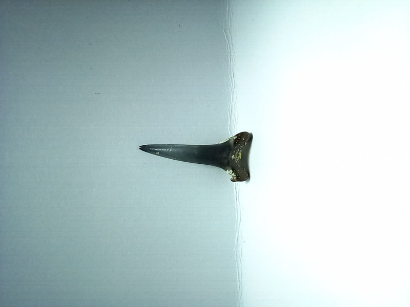 20230719_225750.jpg
