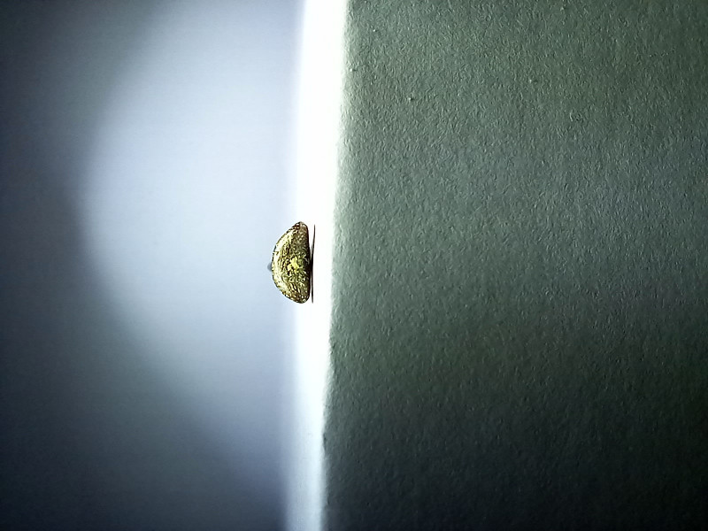 20230719_225828.jpg