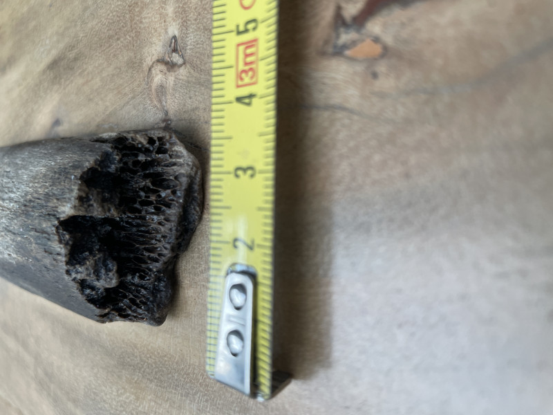 IMG_8139.jpeg (3.32 MiB) 3197 keer bekeken IMG_8139.jpeg