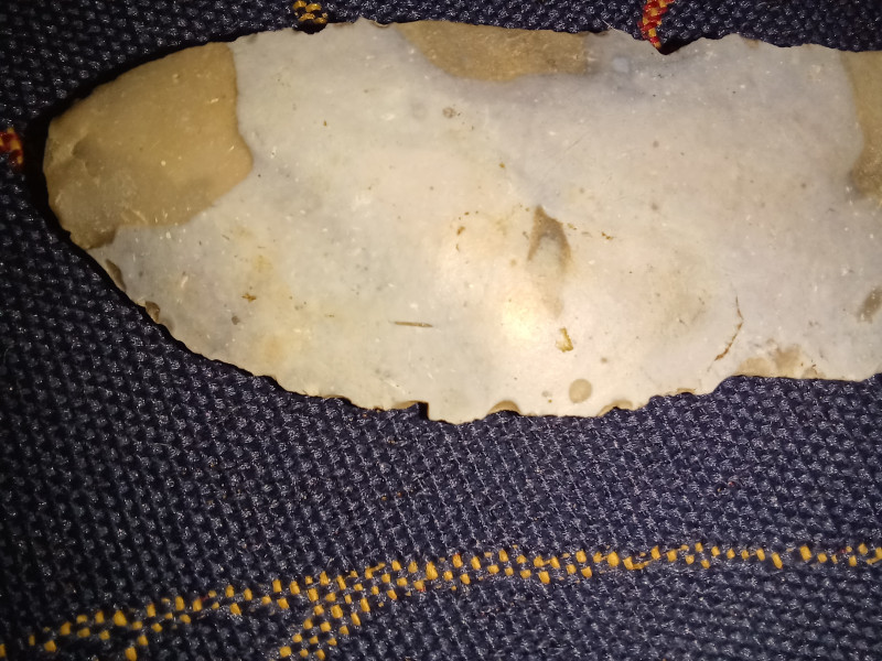20230729_142217.jpg