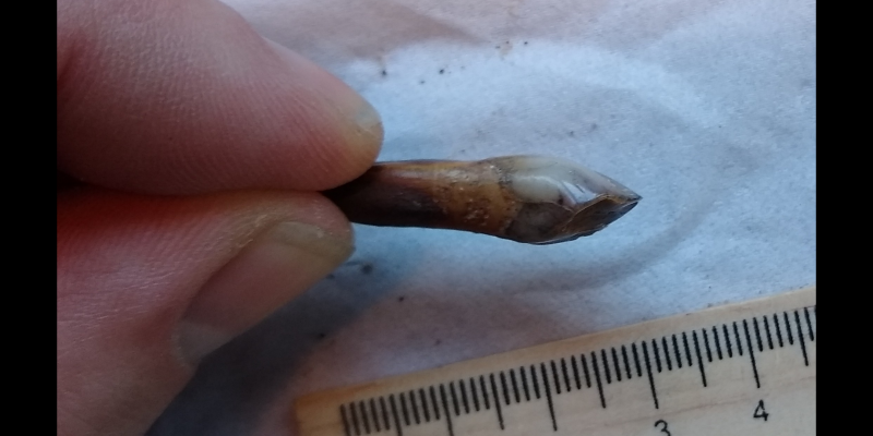 Screenshot_20200324-192143.png (1.82 MiB) 644 keer bekeken Screenshot_20200324-192143.png