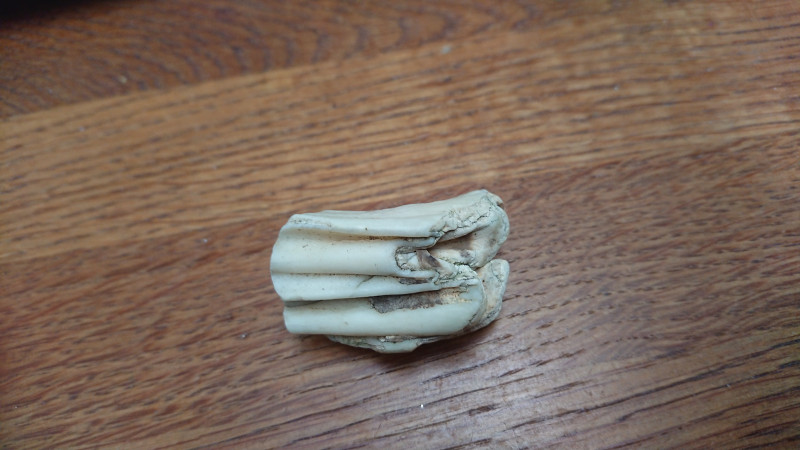 DSC_1010.JPG (5.88 MiB) 2412 keer bekeken DSC_1010.JPG