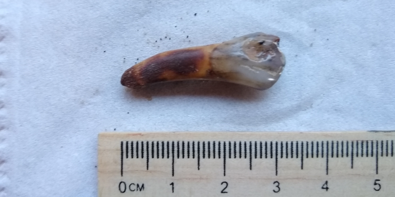 Screenshot_20200324-192234.png (2.54 MiB) 681 keer bekeken Screenshot_20200324-192234.png