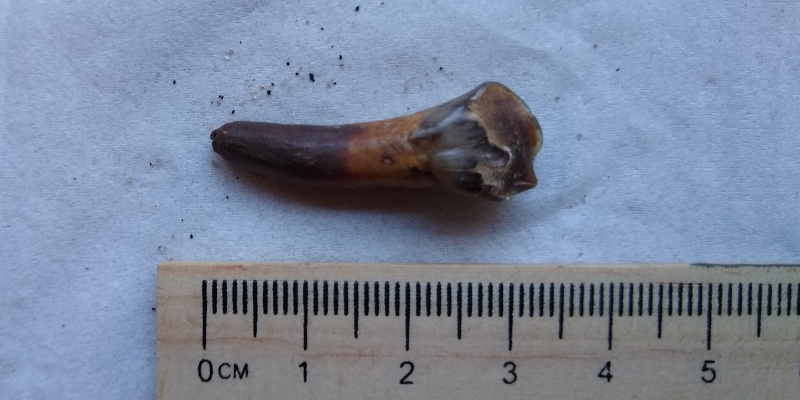 Screenshot_20200324-192308.png (2.79 MiB) 656 keer bekeken Screenshot_20200324-192308.png