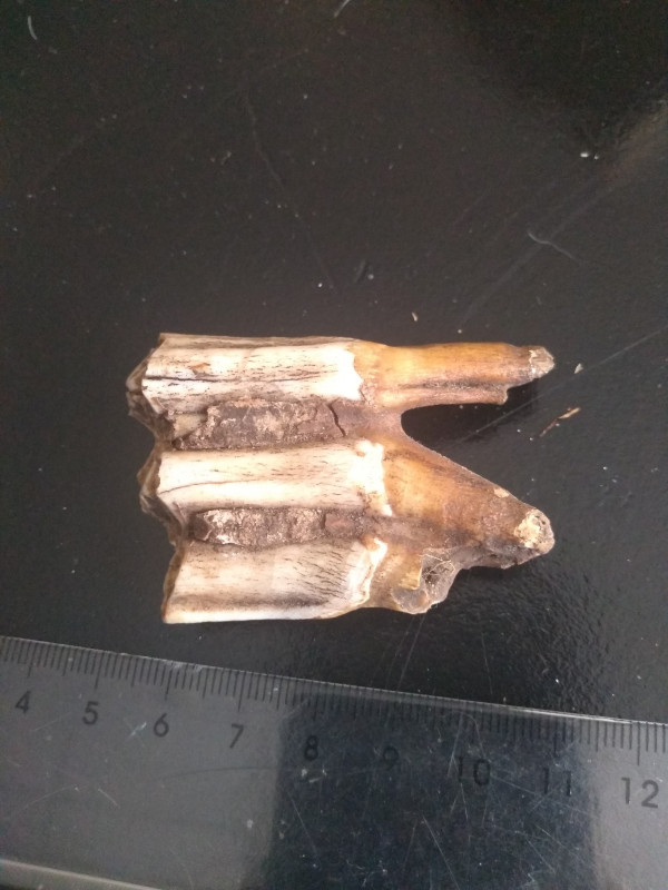 IMG_20230808_183632689.jpg (3.19 MiB) 1761 keer bekeken IMG_20230808_183632689.jpg