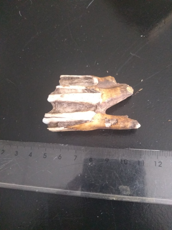 IMG_20230808_183626000.jpg (3.06 MiB) 1761 keer bekeken IMG_20230808_183626000.jpg