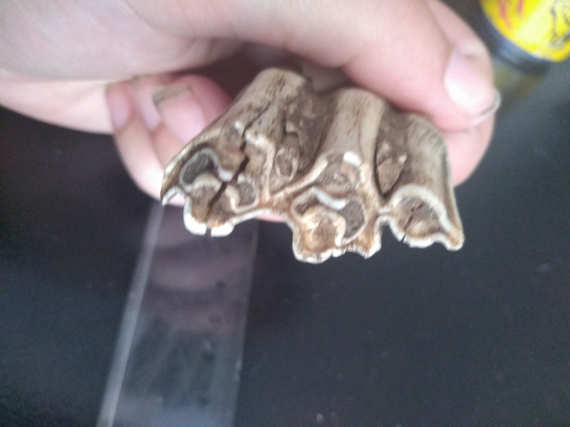 IMG_20230808_183648382.jpg (2.88 MiB) 1598 keer bekeken IMG_20230808_183648382.jpg