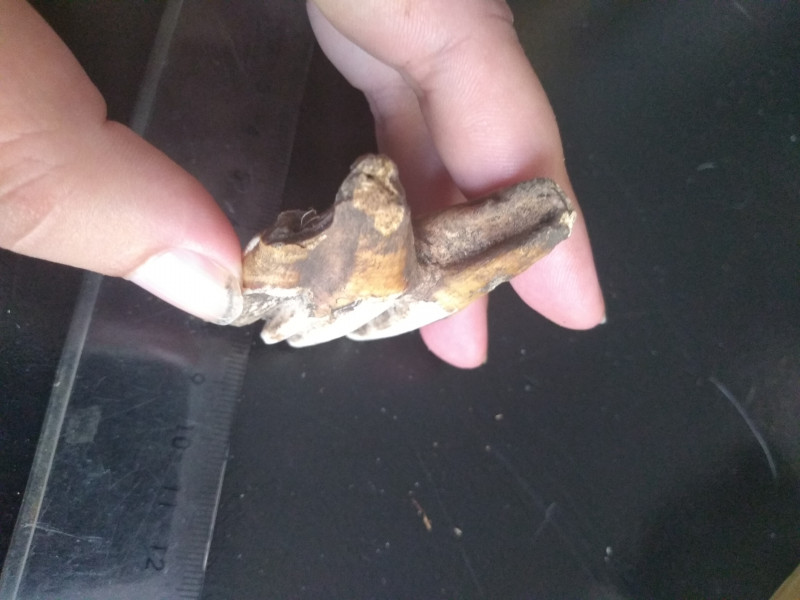 IMG_20230808_183643084.jpg (3.01 MiB) 1752 keer bekeken IMG_20230808_183643084.jpg